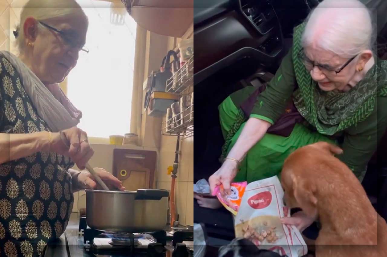 Mujer de 90 años prepara diariamente comida para 120 perritos de un refugio