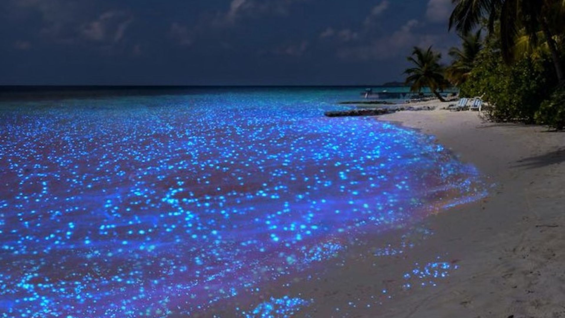 “Mar de Estrellas”; Una isla que debes visitar al menos una vez en la vida