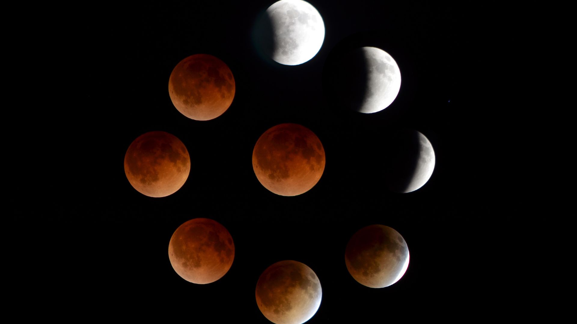 Como afecta a su signo zodiacal, último eclipse lunar total de noviembre
