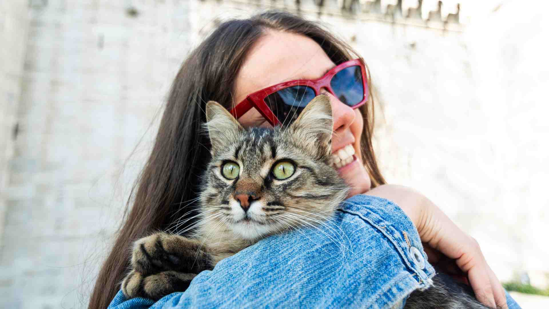 Nuevo estudio reveló que los gatos pueden manipular a las mujeres